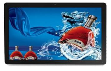 10 Points Capacitive 0.297mm LCD Touch Screen Monitor USB SD Port