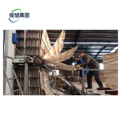 8000 KG Capacity Wood Drying Machine Industrial Veneer Dryer with Hydraulic Hot Press
