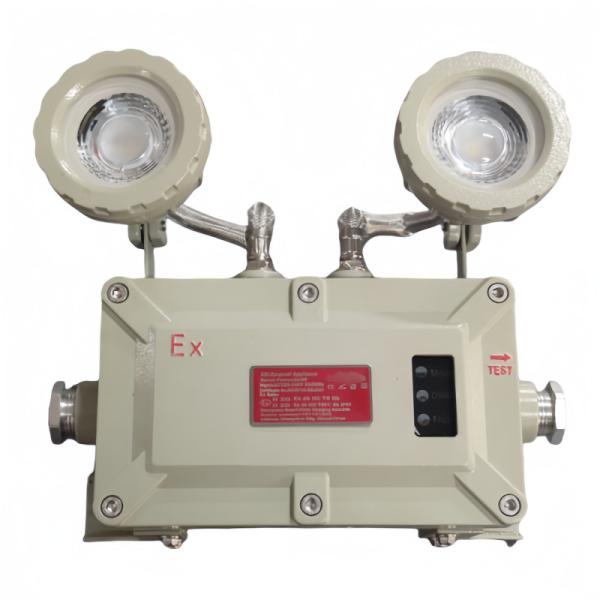 Plafonnier ATEX Ex D IIB Well Glass Lampe de Secours Rechargeable Rapide 2*3w