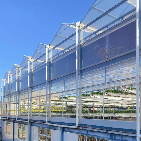 Glass Greenhouse Hydroponic Vegetable System for Maximum Water Efficiency