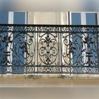Allemagne Clôture en fer revêtu de poudre pour le style minimaliste extérieur de luxe