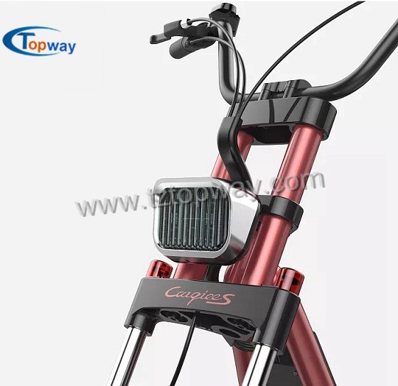 Best selling 8inch scooter 1000w electric chinese motorcycle citycoco