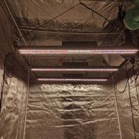 BAVAGREEN Samsung LED crecen la barra ligera