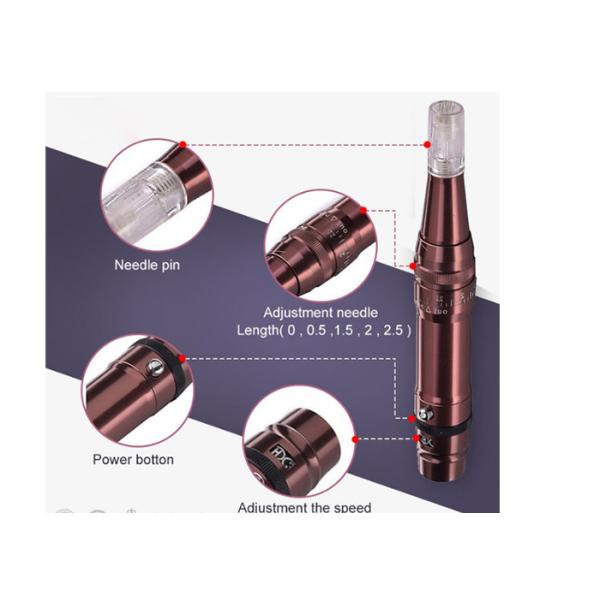 Portable Permanent Makeup Machine , Recharging Micro Needle Therapy Apparatus