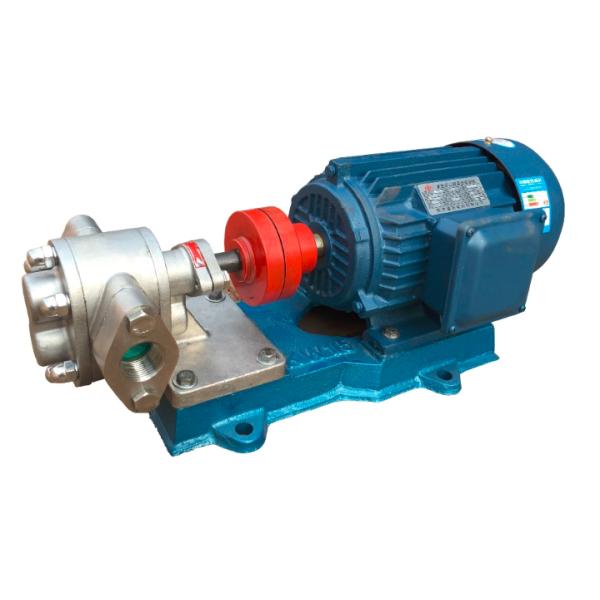 Blast Proof Electric Gear Oil Transfer Pump High Hardness Stainless Steel Material