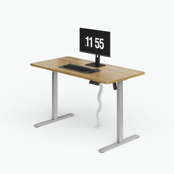 Bureau électrique réglable en hauteur pour bureau à domicile avec rangement de câbles