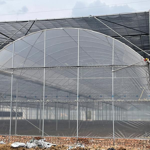 Agricultura que planta estufa do período da estufa da armação de aço da grande escala de cobertura plástica a multi