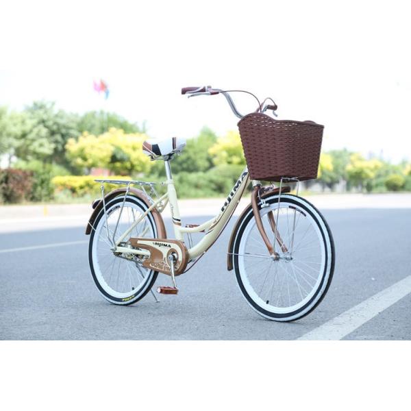 V Brake Single Speed 24 Inch Womens Commuter Bike