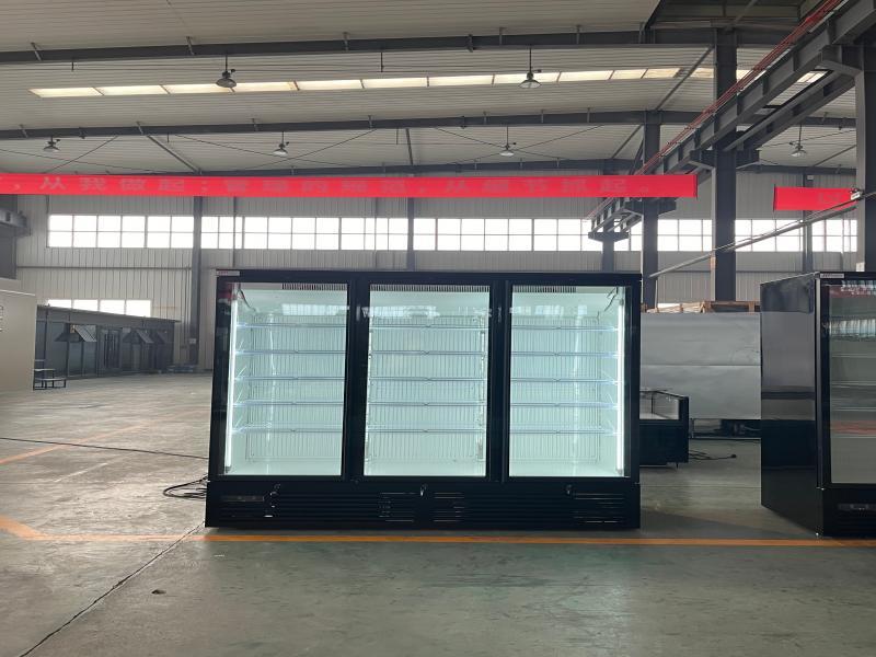 MAXIMA F Series Energy-Saving Commercial Glass Door Freezer for Supermarket Refrigeration