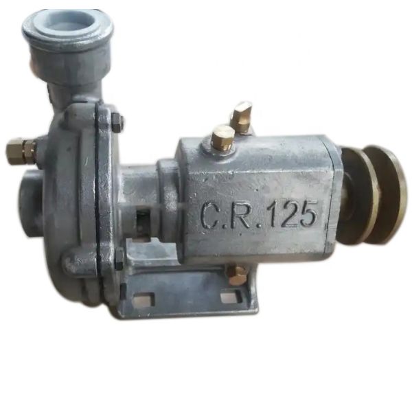 CR125 Marine Pump Stainless Steel Oil Pump Sea Water Pump Electric Diesel Engine Spare Parts