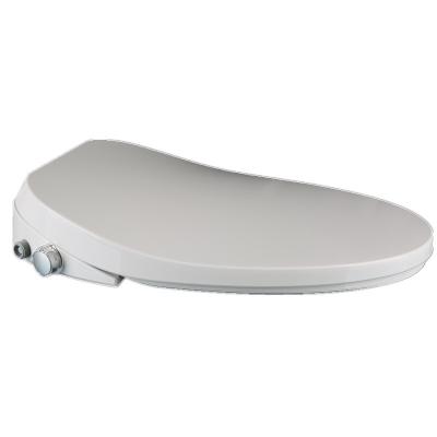 220V Instant Heated Toilet Seat Bidet With Self Cleaning Double Nozzles
