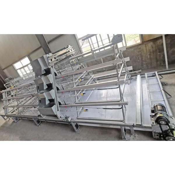 240 птиц клетки размышлять дня типа 1 старые для материала цыпленоков Q235 стального