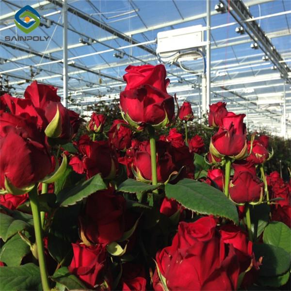Sainpoly Commercial  Agricultural Flower Green Houses For Planting