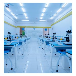 Антикоррозионная химическая лаборатория Мебель Классный стол и стул 120*60*78 см