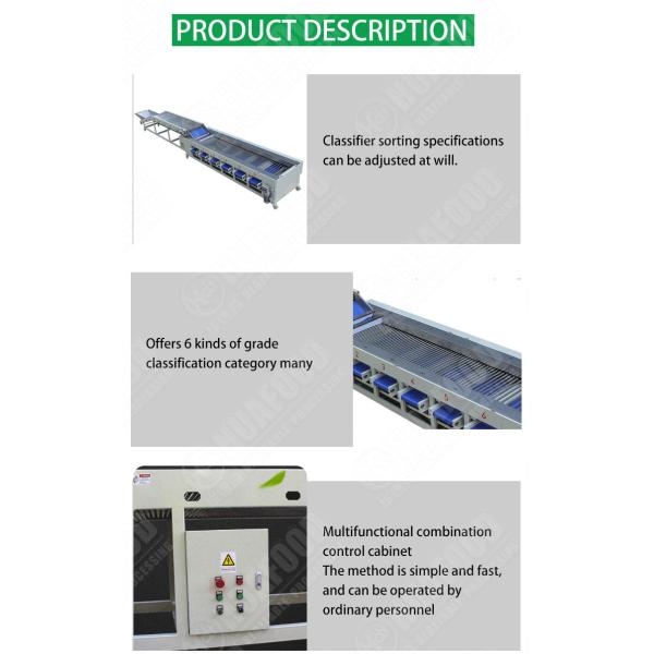 Carrot Onion Potato Grading Machine Fruit And Vegetable Sorting Machine