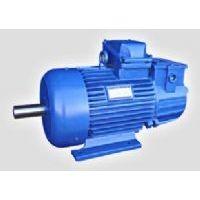 Lifting Metallurgy Series High Torque Ac Motor For Gear Single Phase Vibrator