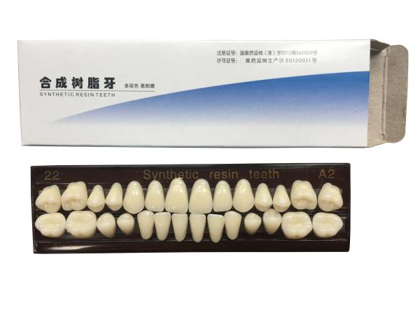 Material Dental Acrylic Resin Teeth Tooth Colored Acrylic Resin Teeth For Dentures
