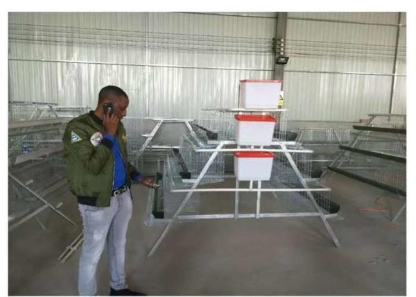 Long Life Q195 Steel Wire Layer Chicken Cage 3/4 Tier Layer Cage