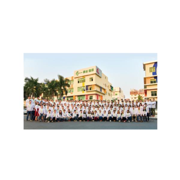 Shenzhen Sunchip Technology Co., Ltd.