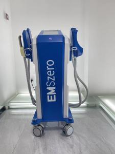 EMS que esculpe a máquina do corpo, 13 máquina de congelação gorda do punho de