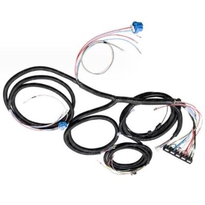 Plastic Electric Vehicle Wire Harness Assembly OEM Voltage 24V