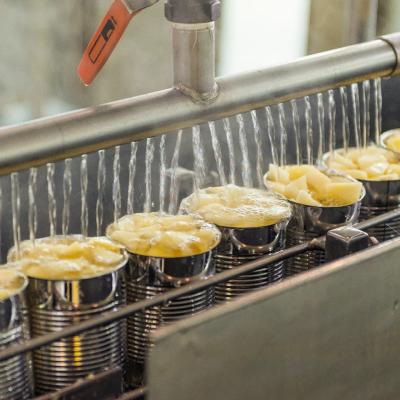 Leadworld Canned Fruit Production Line For Canning Pineapples