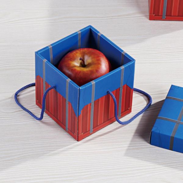 Custom Christmas Eve Wrapped Apple Lovely Gift Apple Packaging Boxes