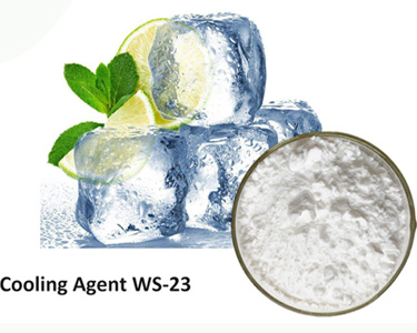 Koolada Ws 23 Cooling Agent Cas 51115 67 4 Slight Menthol Odor Driving Insects