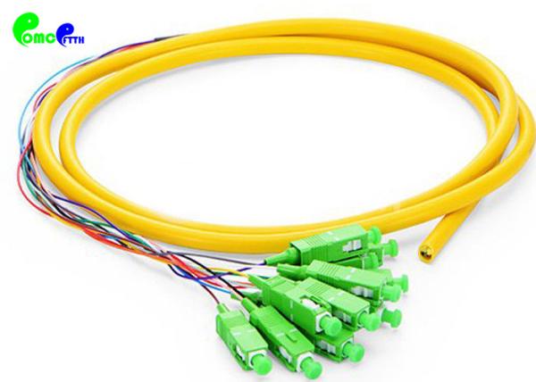 12F SC APC Pre - terminated  Pigtail SM 12F  Fiber Optic Pigtail OS2 G657A1 LSZH Jacket Breakout 0.9mm tail