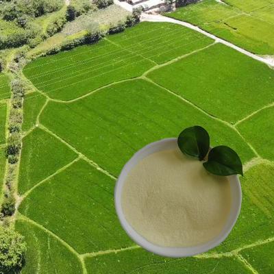 O ácido aminado do ácido aminado nitrogen16 do hydrolysate da proteína de soja da lista de OMRI pulveriza a agricultura de 85%