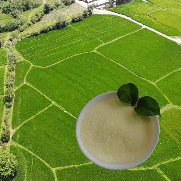 O ácido aminado do ácido aminado nitrogen16 do hydrolysate da proteína de soja da lista de OMRI pulveriza a agricultura de 85%