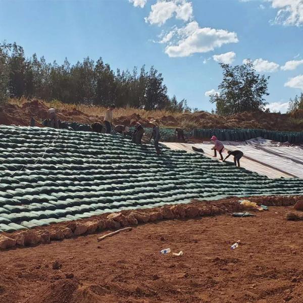 Polypropylene Nonwoven Geotextile Geobag Geo Fabric Bags 800x400mm