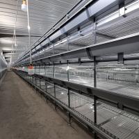 Equipamento de processamento da grelha da exploração agrícola, tipo gaiola da rede de arame Q235 H de 3.0-6.0mm da camada