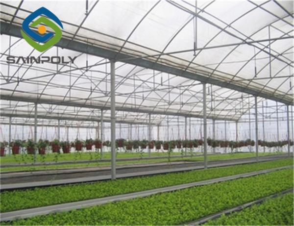 UV Radiation Protection Layer 120km/H Multi Span Greenhouses