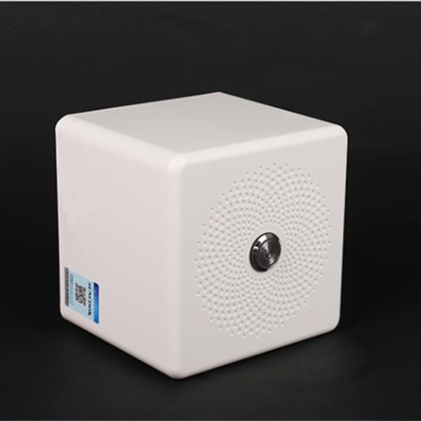Lightweight Home Ozone Generator With UV Light 500mg/H