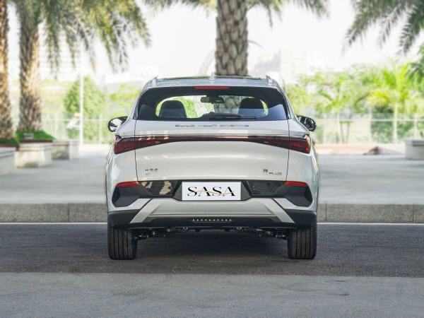 Compact SUV BYD EV Car Tire 60 R17 New Energy Electric Cars BYD Yuan Plus
