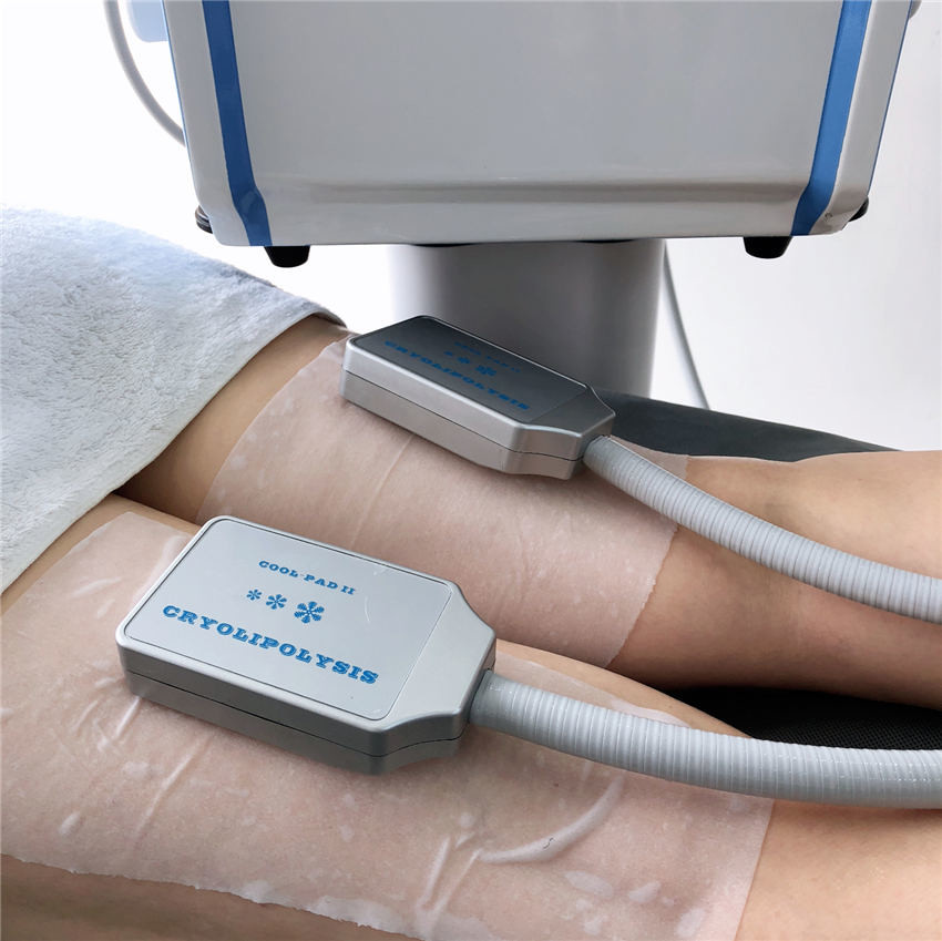 Машина 110V 60Hz Cryolipolysis дома экрана касания или высокая эффективность 220v 50Hz