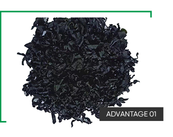 Dehydrated Vegetables Drying Laver 20Kg 0.5Cm Bulk Packaging and Cutting Seaweed Dried Wakame