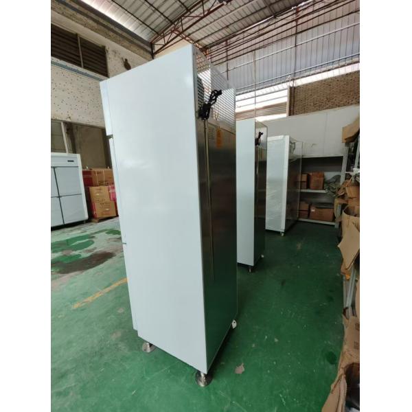 Commercial Upright Fridge Marine Bullet Foot Fridge Customized Kitchen Freezer With 120V/60Hz
