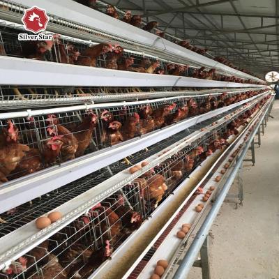3-4 a gaiola da galinha da camada da bateria das séries para a exploração agrícola ISO9001 das galinhas poedeiras alistou