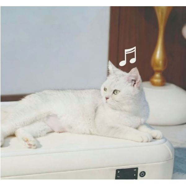 Temperature Control Wool Pet Mat Smart Heating Massage LED Lights Soft Cushion Non Slip Removable Washable