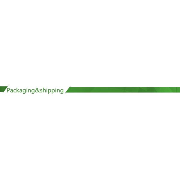 automatic disposable Biodegradable sugarcane paper pulp food box making machine