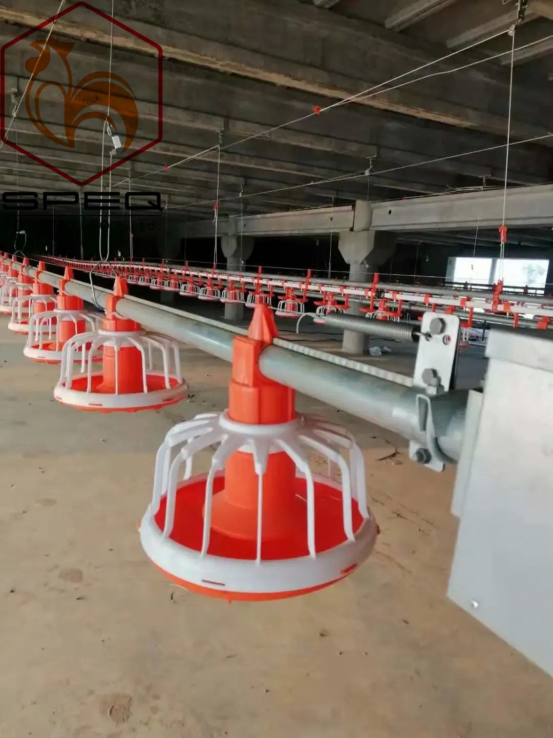 Quick Cleaning Automatic Pan Feeding System For Broiler Poultry Farms