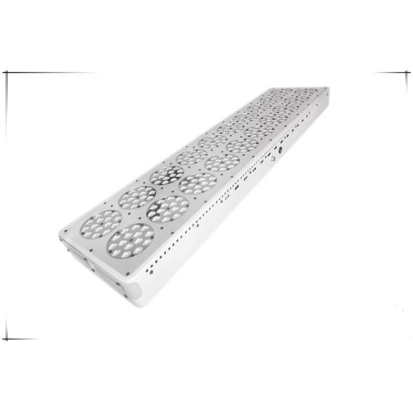 Best quality led grow light cidly 900 led watts for vegetales seeds