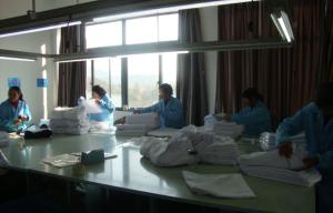 Hangzhou Shengyi Tourist Novelty Co., Ltd.