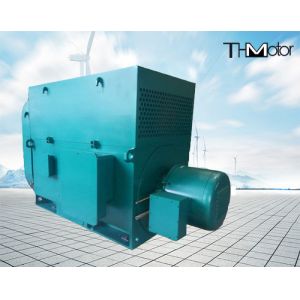 Электрический двигатель высоковольтное электрическое Motors10KV 50HZ HV AC воздуходувки взрыва асинхронный