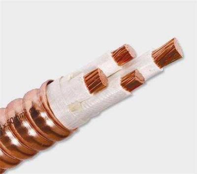 0.6/1kv Bttw/Yttw, Fire Resistant Cable Multi Cores Inorganic Mineral Insulated Corrugated Copper/LSZH