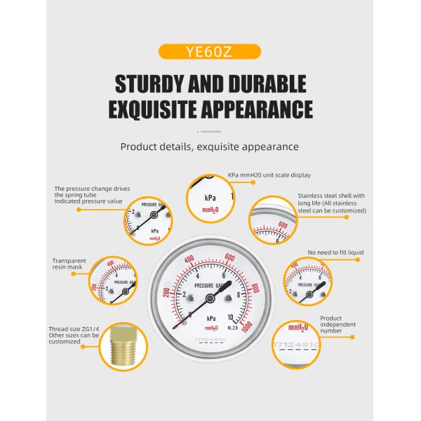 Excellent 2.5 Inch Pressure Meter for 62.5mm Nominal Diameter and Customized Support