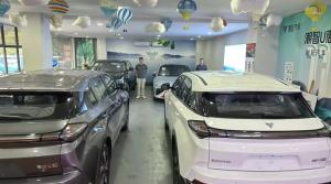 Shenzhen Lvhuazhou New Energy Vehicle Development Co., Ltd.