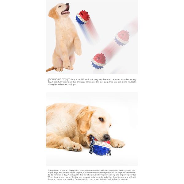 Personalized Flexible Dog Molar Bite Toy For Cleaning Pet Teeth
